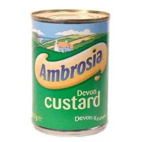 Ambrosia - Devon Custard, 14.1oz