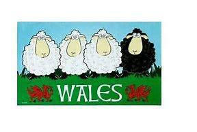 Wales Black Sheep Tea Towel